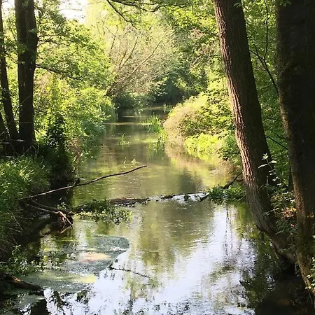 Appartementhaus Stangl *